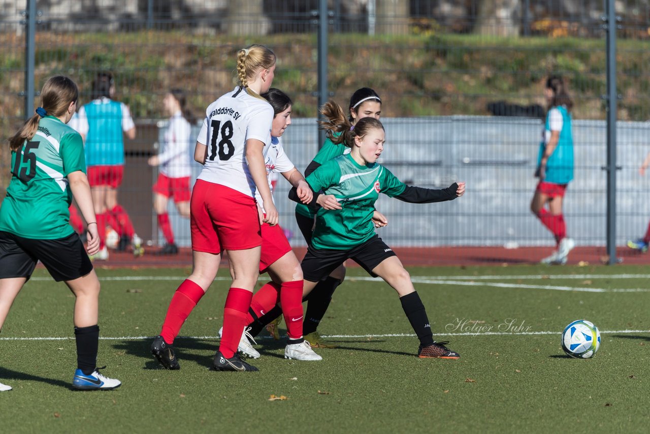 Bild 325 - wCJ Walddoerfer - Wellingsbuettel 3 : Ergebnis: 4:1